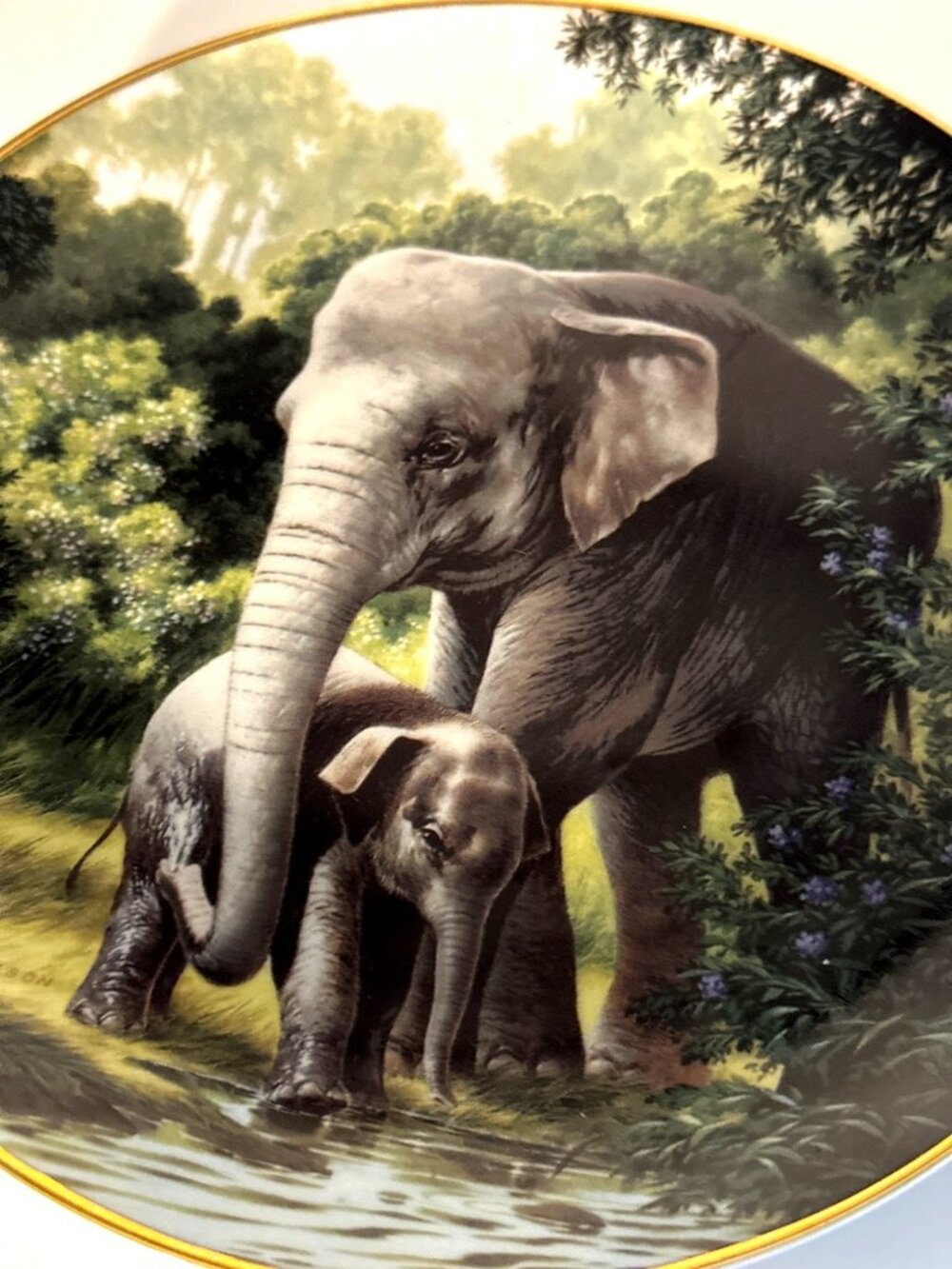 Vintage 90s Elephant Art Plate Will Nelson WS George Fine China Porcelain Ltd Ed